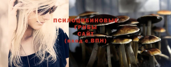СК Надым