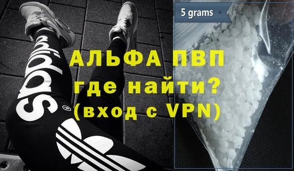 СК Надым