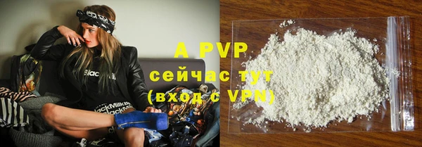 СК Надым